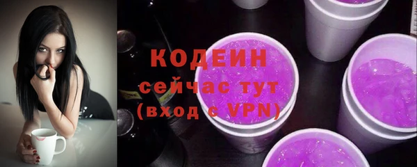 спиды Снежногорск