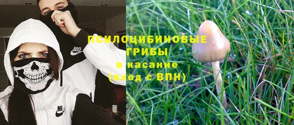 спиды Снежногорск