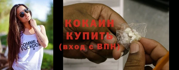 сатива Снежинск