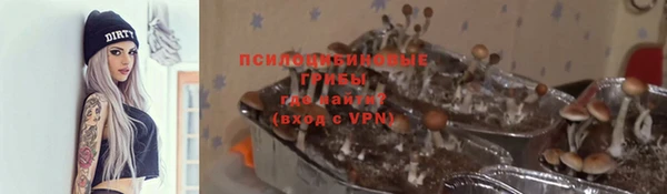 спиды Снежногорск
