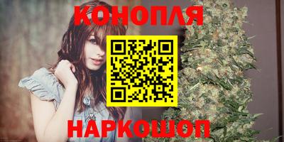 шишки Аргун