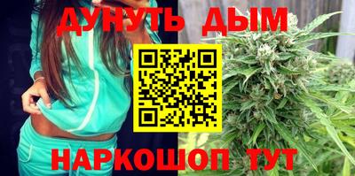 шишки Аргун