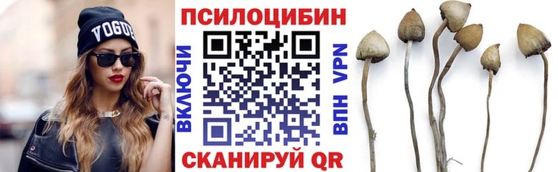 Галлюциногенные грибы мицелий  Северодвинск 