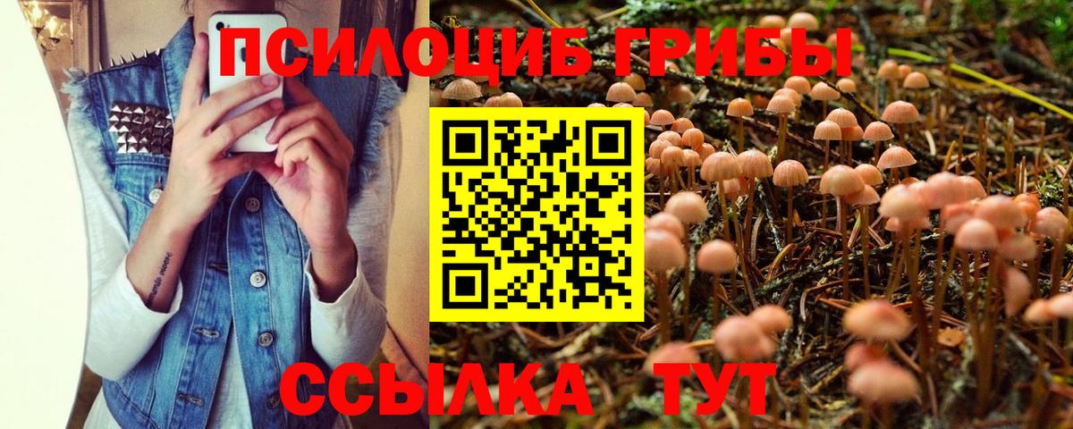 Галлюциногенные грибы MAGIC MUSHROOMS Северодвинск