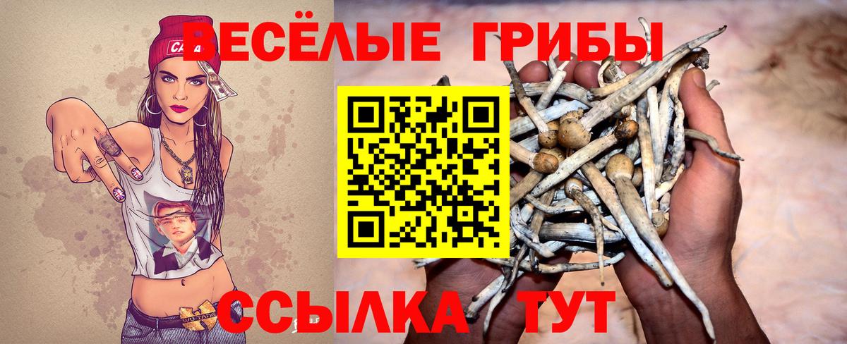 Северодвинск  где купить наркоту  Вход с VPN  Псилоцибиновые грибы Psilocybine cubensis 