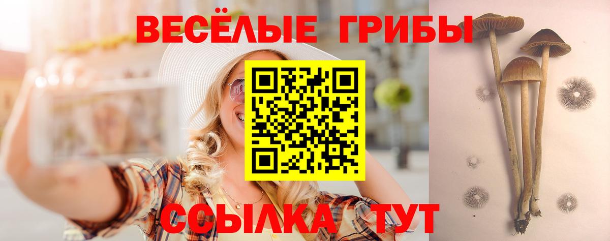 Псилоцибиновые грибы Psilocybe  Северодвинск 